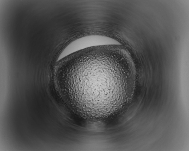 X0000093140747200710101117