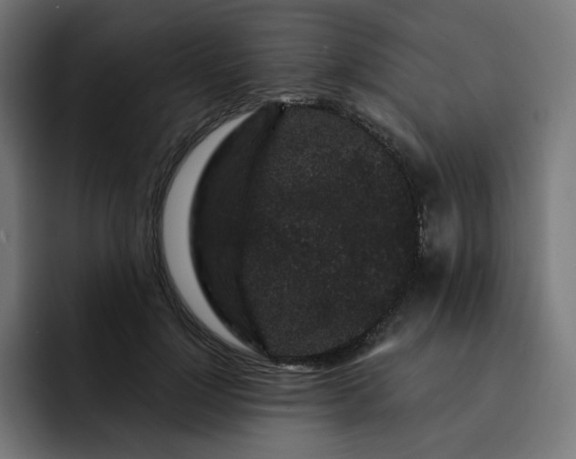 X0000093140748200710101117