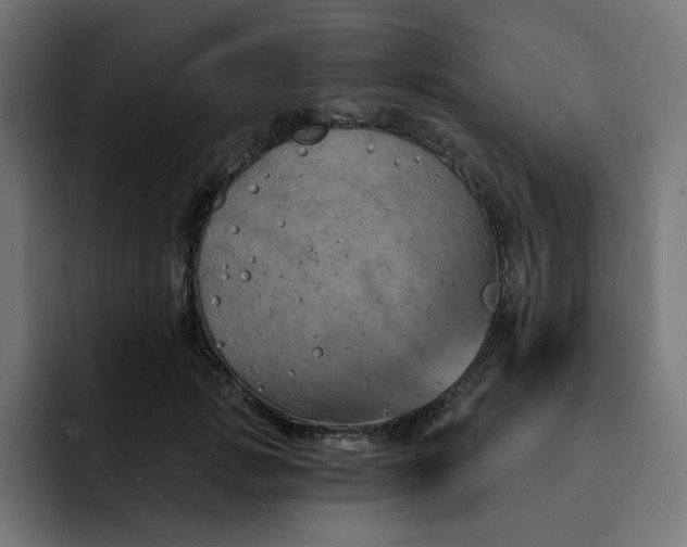 X0000093140749200710101117