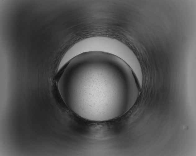 X0000093140750200710101117