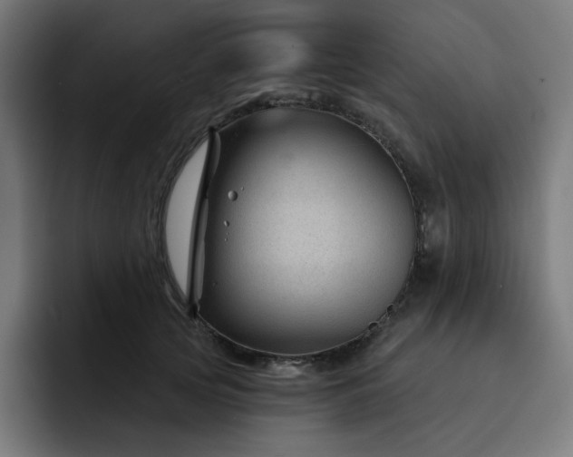 X0000093140753200710101117