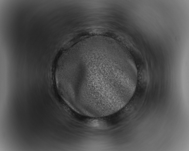 X0000093140755200710101117