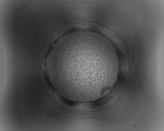 X0000093140758200710101117