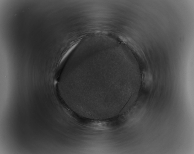 X0000093140760200710101117