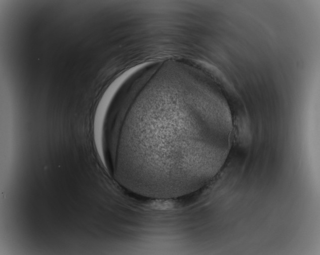 X0000093140762200710101117