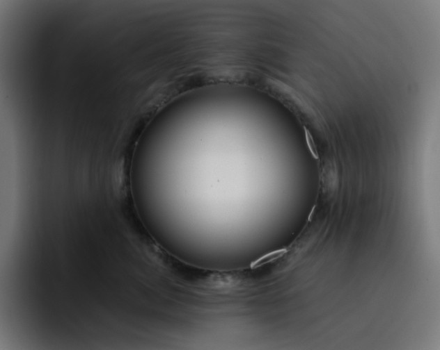 X0000093140764200710101117