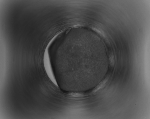 X0000093140766200710101117