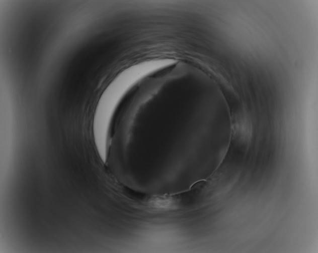 X0000093140767200710101117