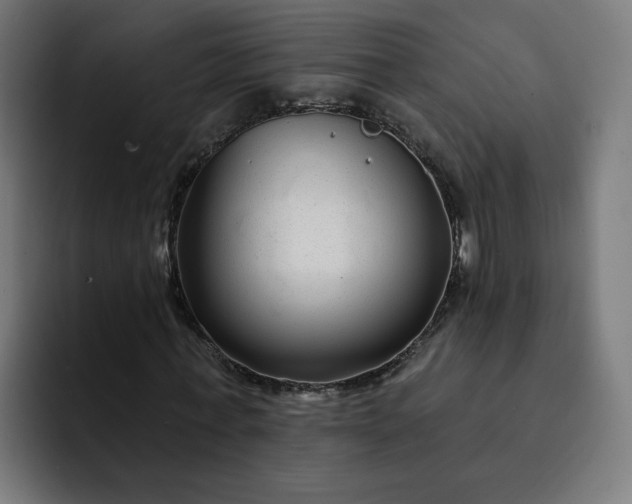 X0000093140771200710101117