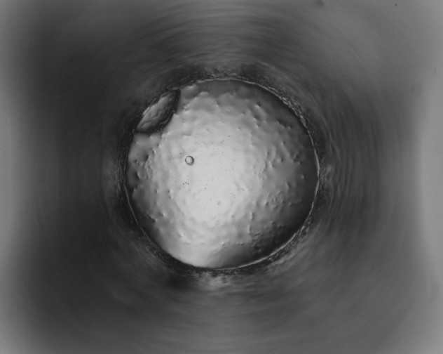 X0000093140772200710101116