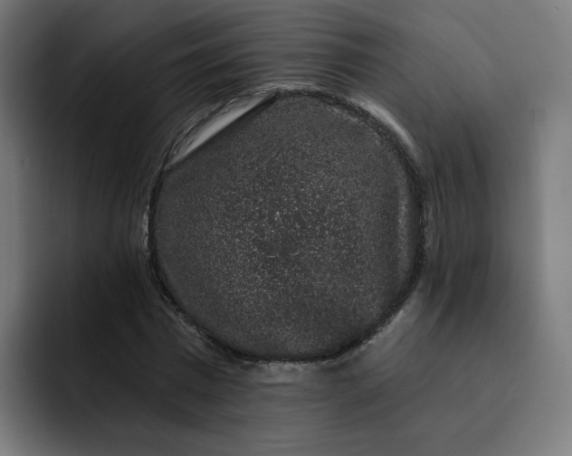 X0000093140777200710101116