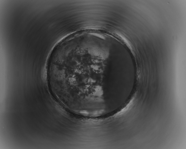 X0000093140779200710101116