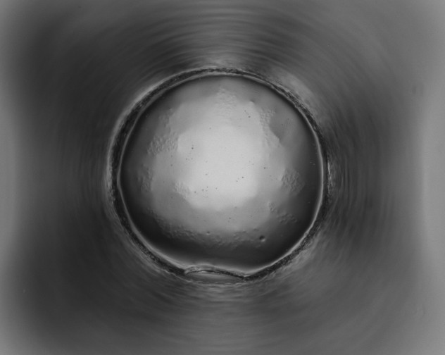 X0000093140780200710101116