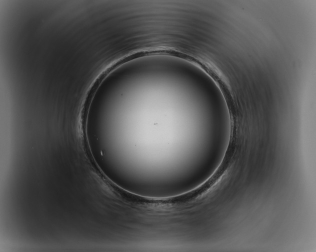 X0000093140789200710101116