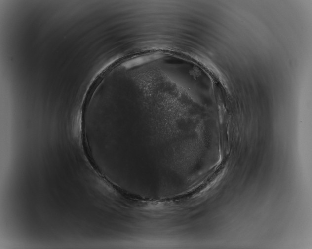 X0000093140790200710101116