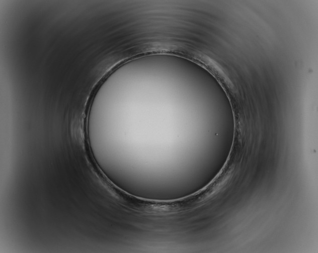 X0000093140794200710101116