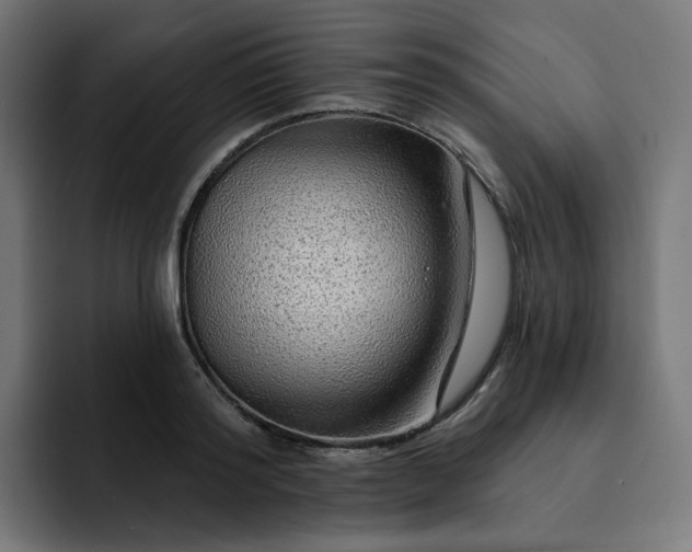 X0000093140796200710101116