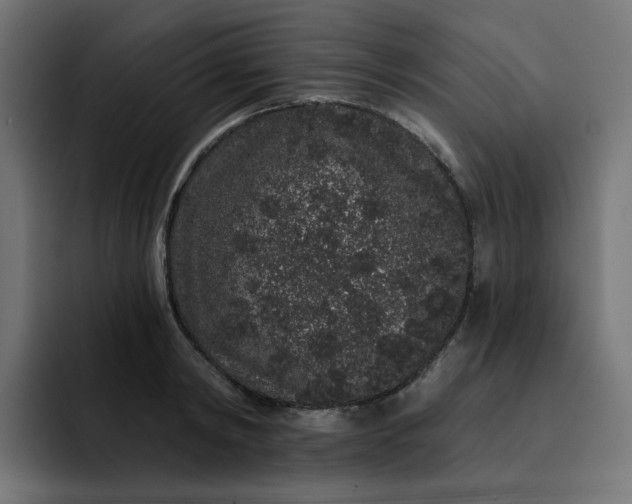 X0000093140798200710101116