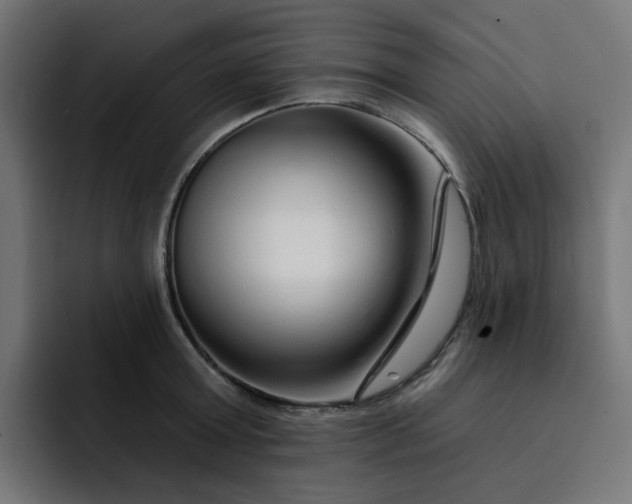 X0000093140803200710101116