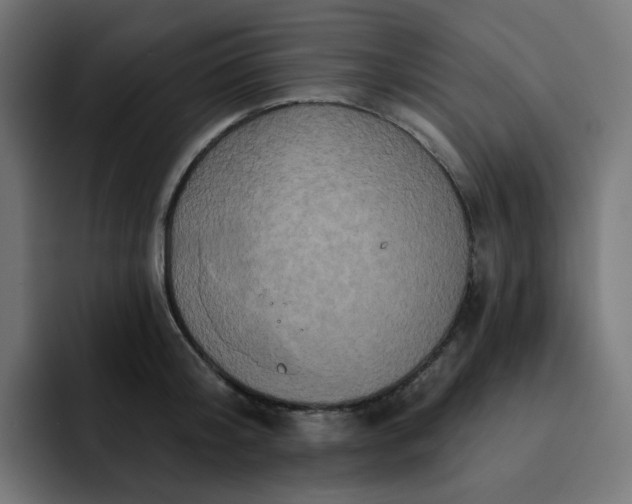 X0000093140804200710101116