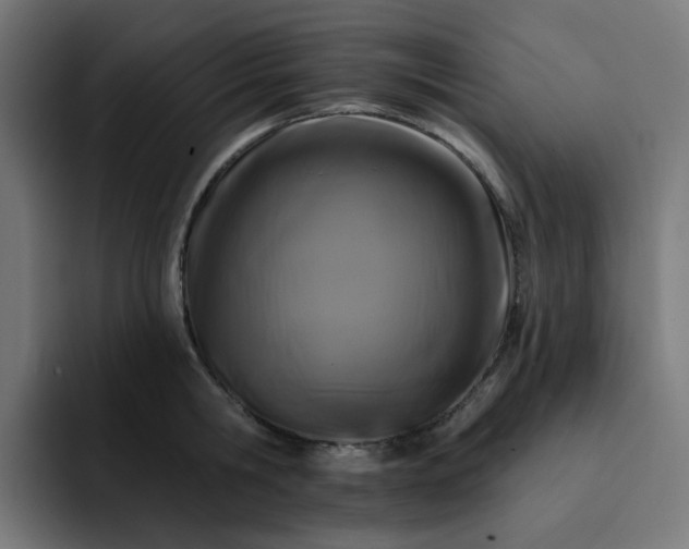 X0000093140806200710101116