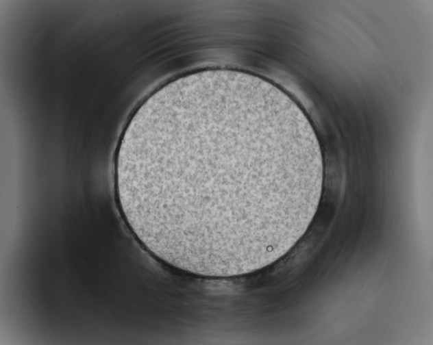 X0000093140807200710101116