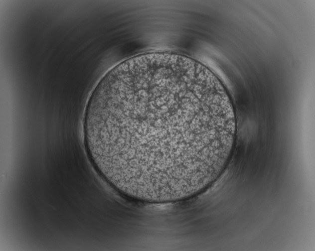 X0000093140810200710101116