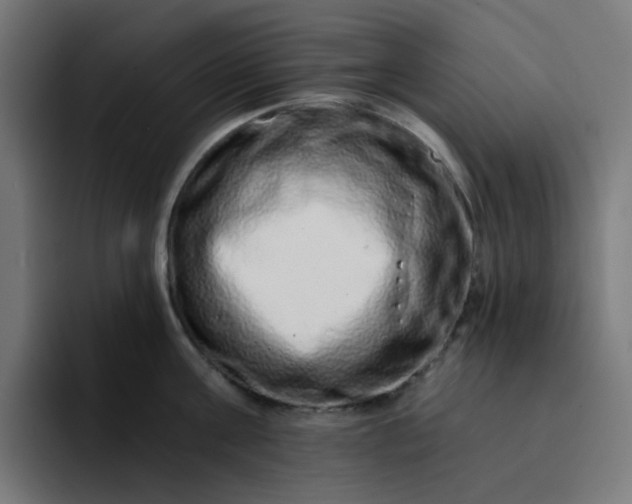 X0000093140811200710101116