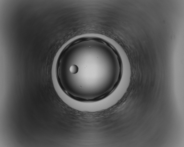 X0000093140818200710101115