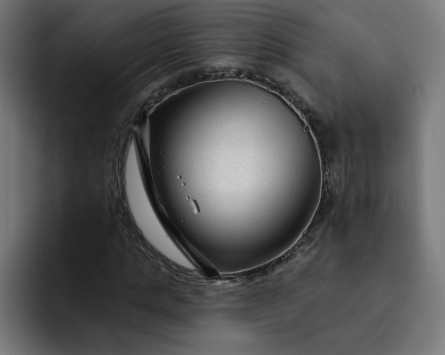 X0000093140821200710101115