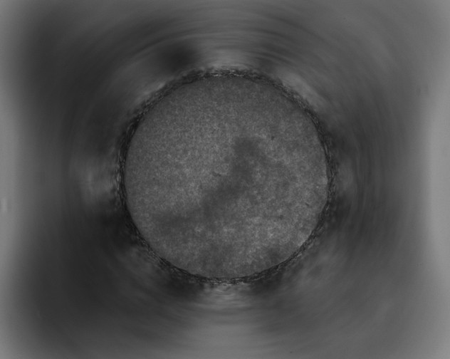 X0000093140824200710101115