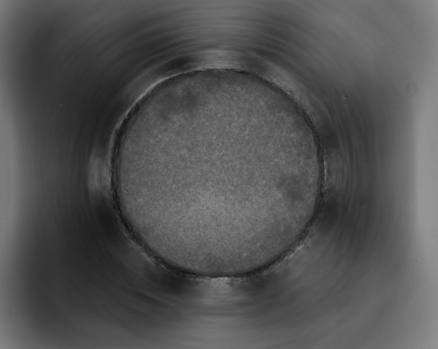 X0000093140828200710101116