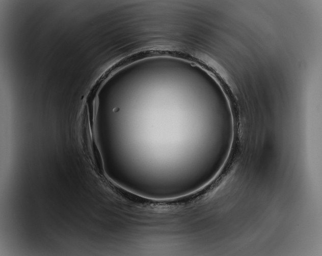 X0000093140829200710101116