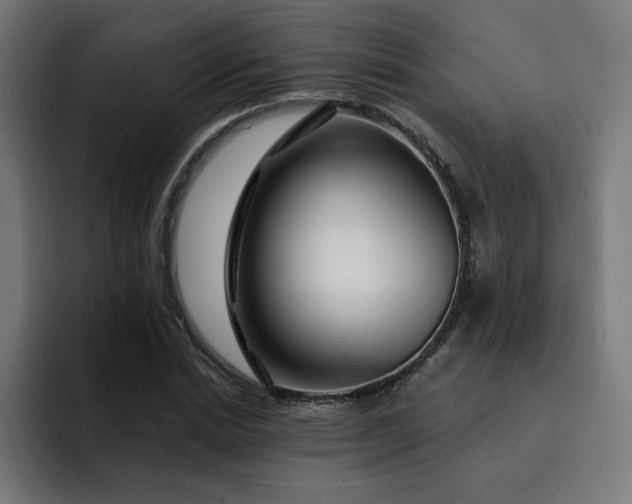 X0000093140830200710101116