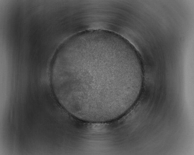 X0000093140832200710101116