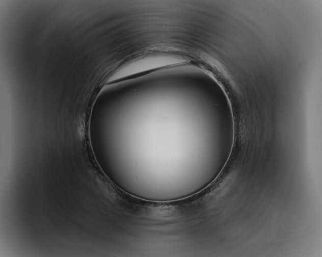 X0000093140833200710101116