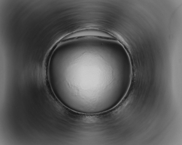 X0000093140835200710101116