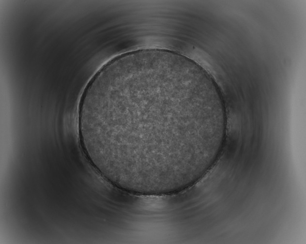 X0000093140836200710101116