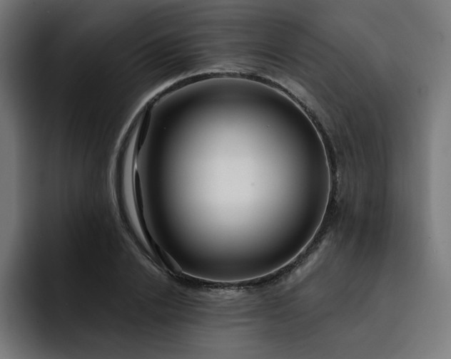 X0000093140838200710101116