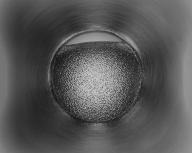 X0000093140839200710101116