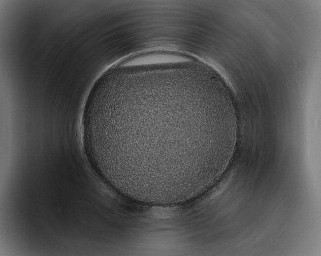 X0000093140840200710101116