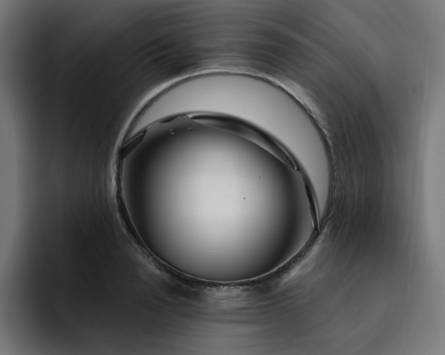 X0000093140846200710101116