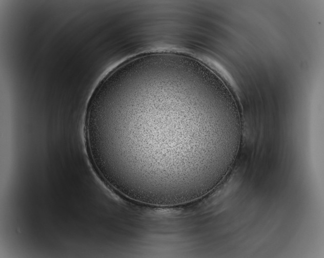 X0000093140847200710101116