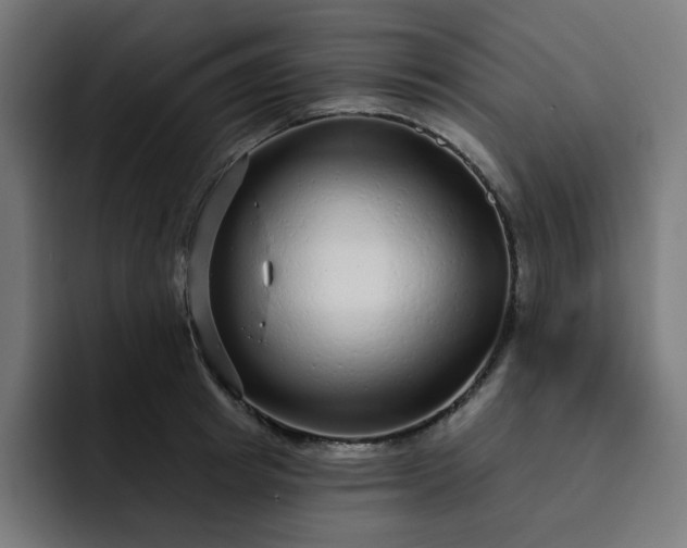 X0000093140849200710101116