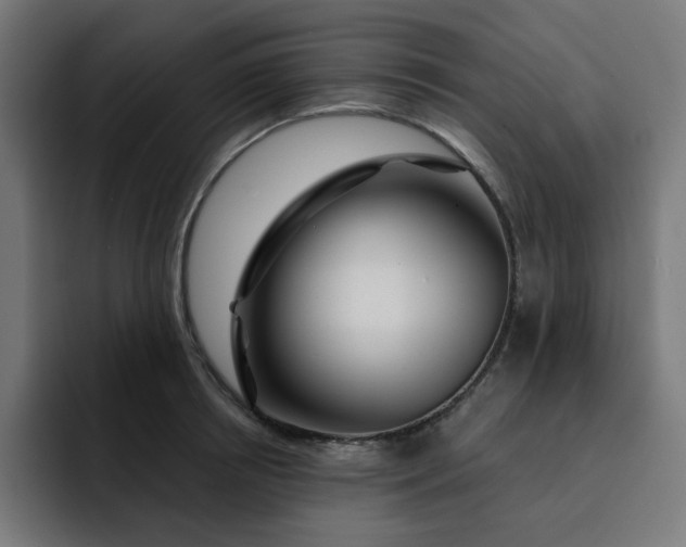 X0000093140850200710101116