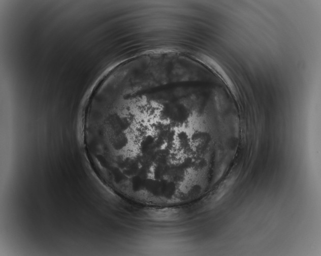 X0000093140851200710101116