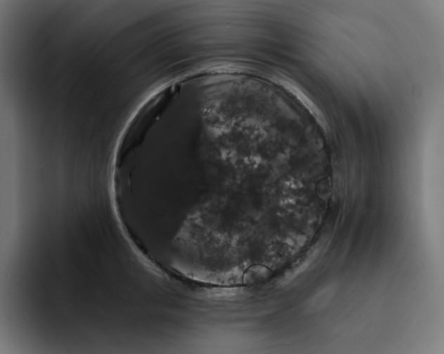 X0000093140853200710101116