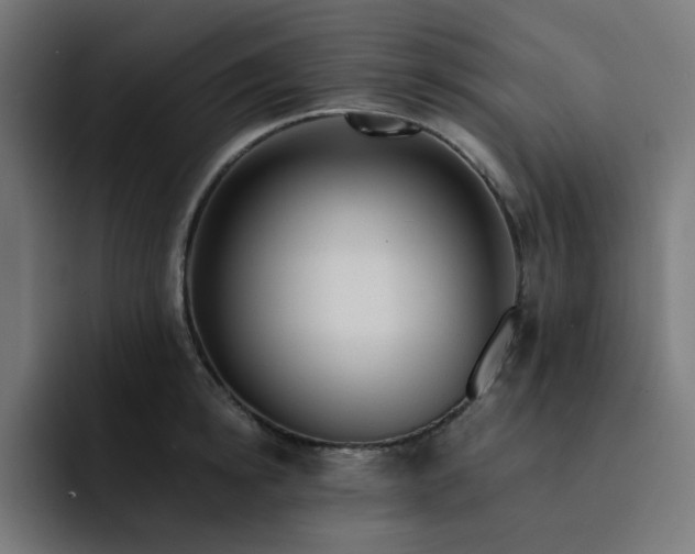 X0000093140854200710101116