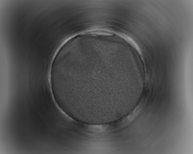 X0000093140855200710101116