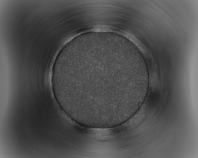 X0000093140856200710101116